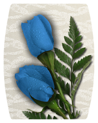 DAREC-051 2 Roses Blue